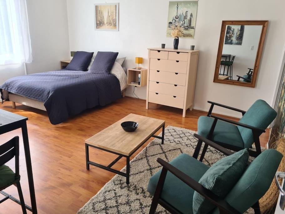 Studio Avec Terrasse Et Place De Parking トゥールーズ エクステリア 写真