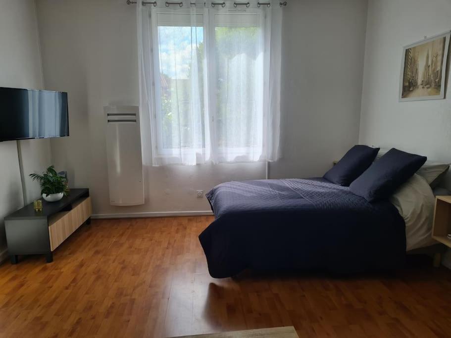 Studio Avec Terrasse Et Place De Parking トゥールーズ エクステリア 写真