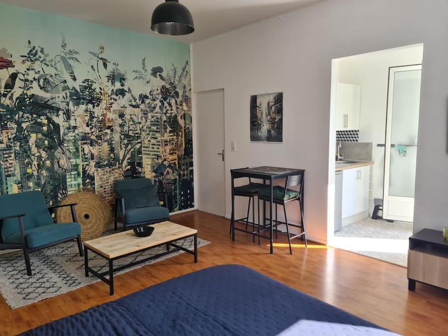 Studio Avec Terrasse Et Place De Parking トゥールーズ エクステリア 写真
